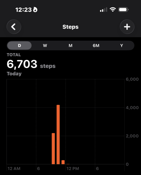 Apple Health showing 6,703 steps, almost all between 9 and 11 AM